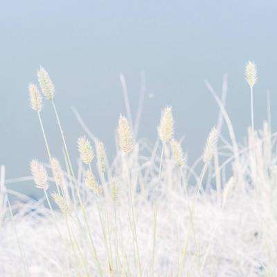 “高原蓝宝石”生态环境整体持续向好 青海湖实现华丽“蝶变”